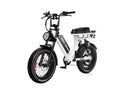 Load image into Gallery viewer, EMMA Step Through Adults Ebike| Moped-style Ebike for 400LB Fat Guy| 1000W 70Mi Long Range Electric Bike 1
