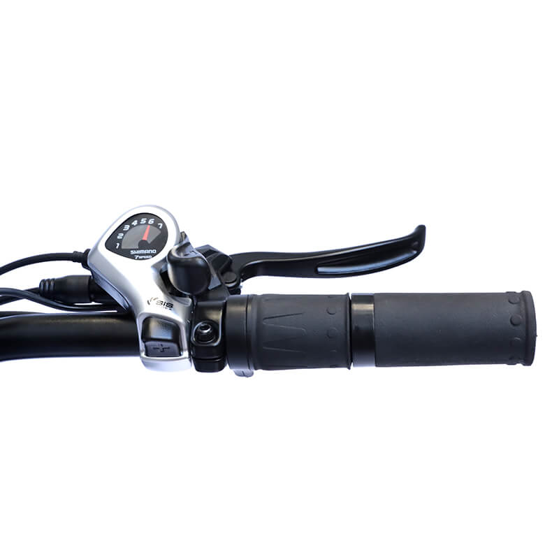Roll Road Shark Moped Style Ebike For 450Lbs-7