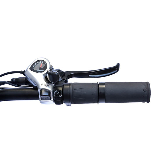 Roll Road Shark Moped Style Ebike For 450Lbs-7