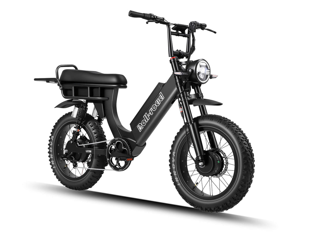 Leon Dual Motor Ebike