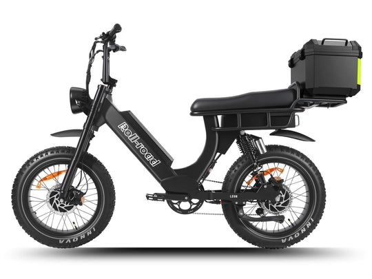 Leon Dual Motor Ebike