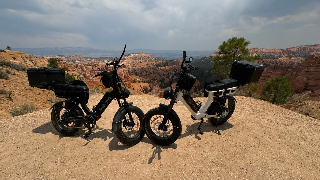 Road Trips with Emma 3.0 and Shark 3.0: How We Travel Together
