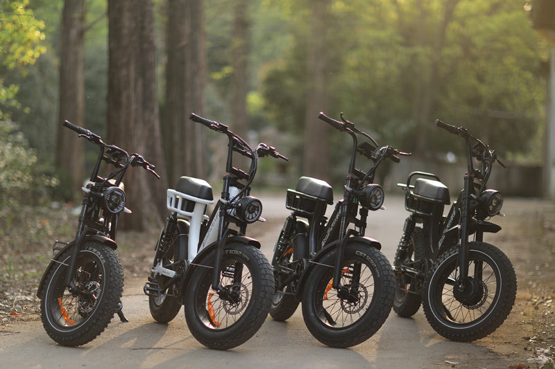Top 5 E-Bikes Reviews of 2025
