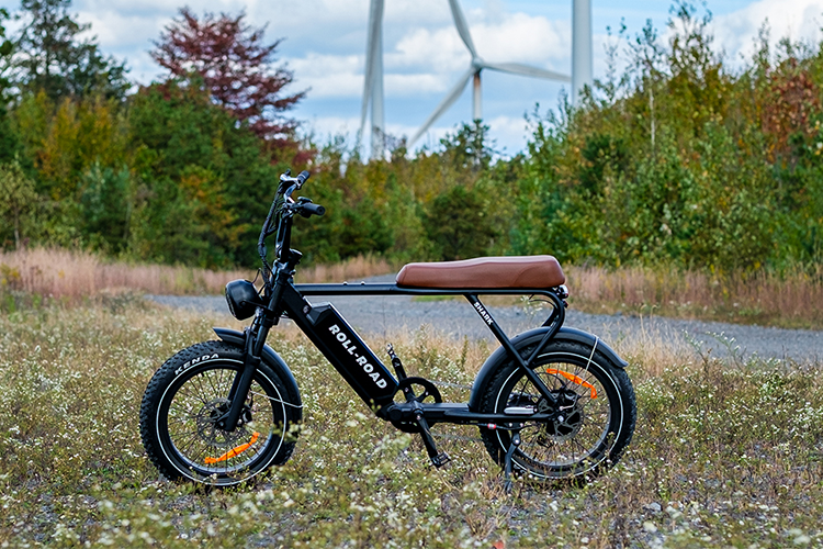 Unveiling the Best 1000W Electric Bike: Roll Road Shark