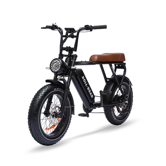 Roll road ebike moped style for 450 lbs 7