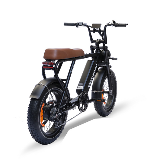 Roll road ebike moped style for 450 lbs 6