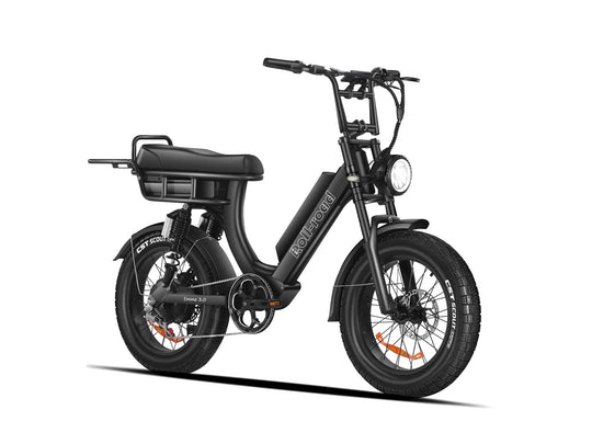 Black EMMA 3.0 electric bike with a 2-person seat and hydraulic brakes.