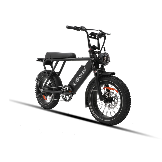 Shark 3.0 Urban Fat Tire Moped Style Ebike