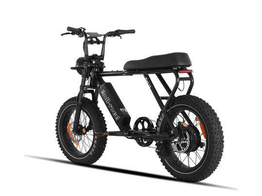 roll-road   Shark3.0 1500W fastest moped style Ebike