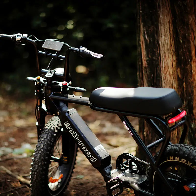 rollroad‑shark30‑ebike‑customer‑outdoor‑riding‑photo-2.webp__PID:664c8379-41e3-4f41-9a01-90e07ce140bb